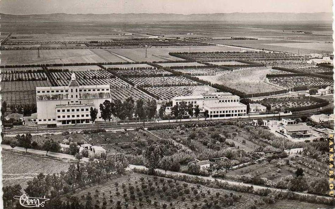 Relizane 037.jpg